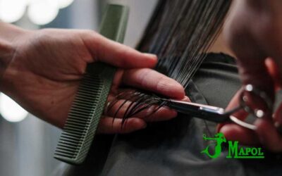 Habilidades Esenciales: Lo que Aprenderás en Nuestros Cursos de Peluquería Profesional