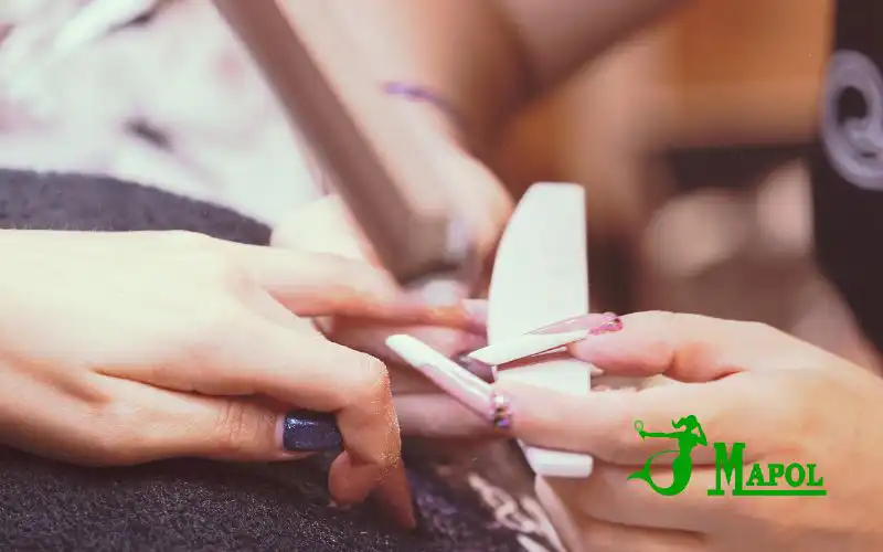 Curso Especializado en Estética